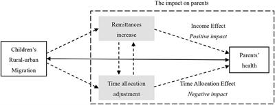 The impact of adult children rural–urban migration on left-behind parents' health: Evidence from China